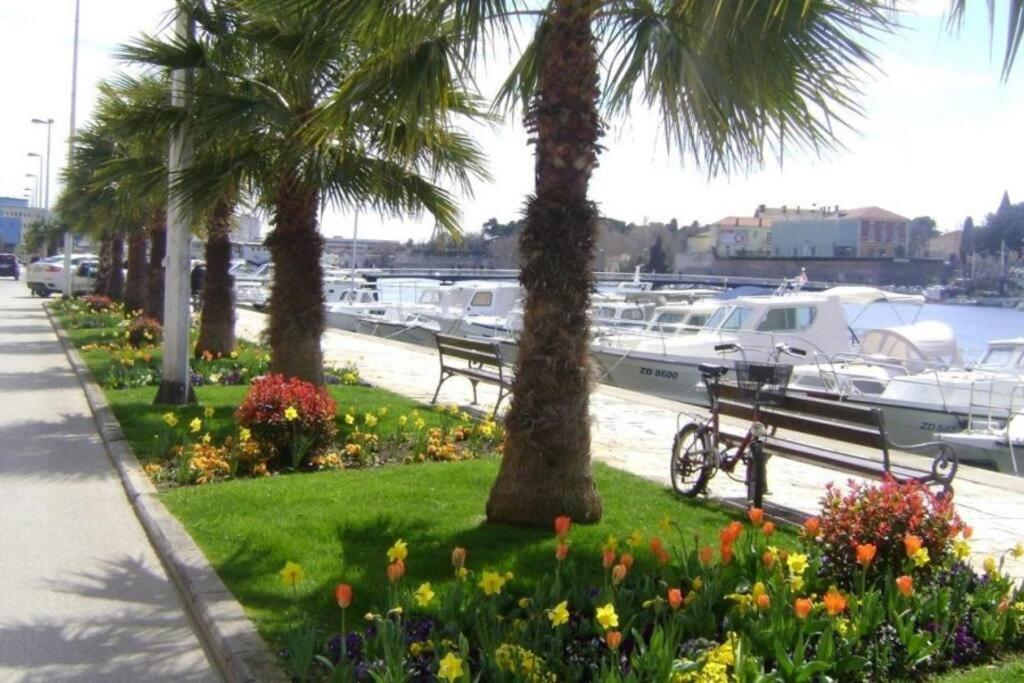 Hygge Zadar Apartment Extérieur photo